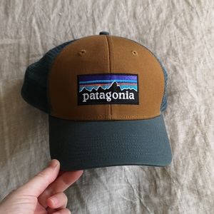Patagonia snap back mesh baseball hat